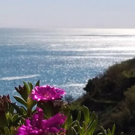Suite Riomaggiore Apartment
